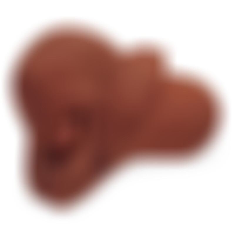 Pick Your Pleasure Stroker Anus y Vagin Marron
