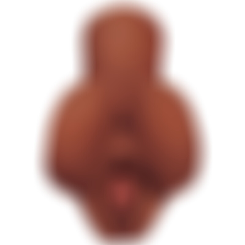 Pick Your Pleasure Stroker Anus y Vagin Marron