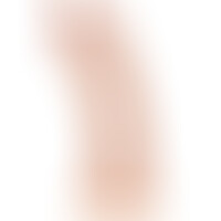 Pene Realístico 21 cm
