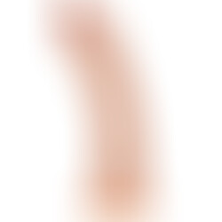 Pene Realístico 21 cm