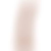 Pénis Réaliste 20,5 cm