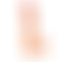 Pene Realista The Super 30 cm