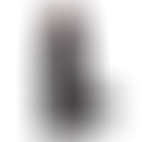 Pénis Réaliste Noir Colossus 26 cm