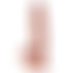 Dual Layer Realistic avec Testicules 20 cm R28