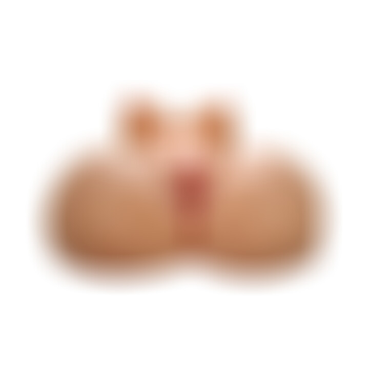 Extreme Toyz Fuck Me Silly 2 Torse Féminin Extra Real