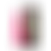 Slidy Gode Réaliste Dual Layer Rétractable 7 Rose