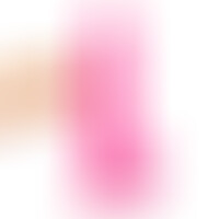 Slidy Gode Réaliste Dual Layer Rétractable 8 Rose
