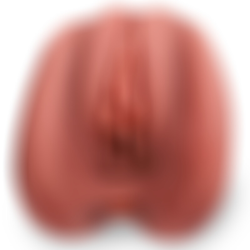 Lara Vagin et Anus Très Réaliste