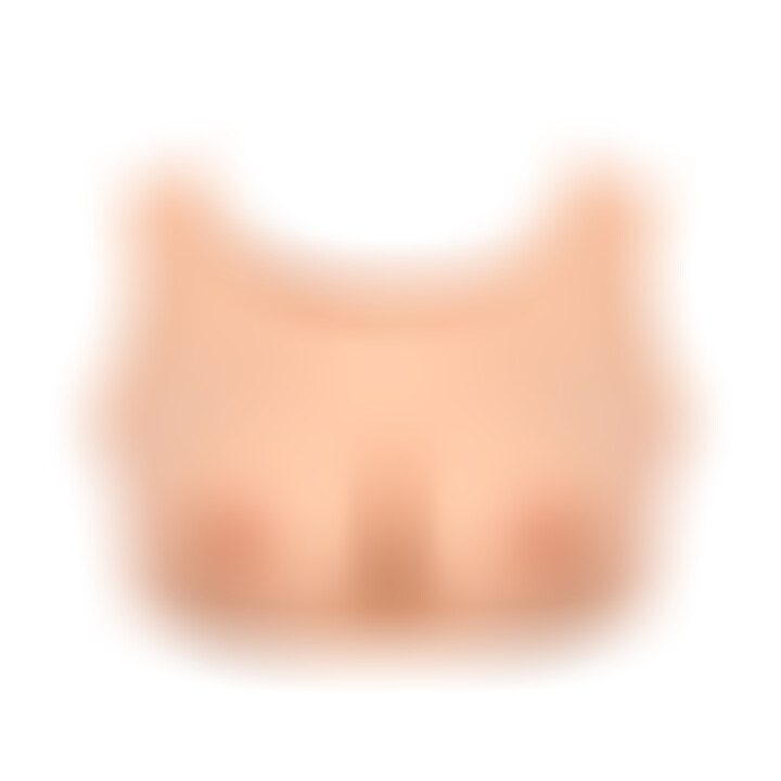Buste Poitrine Clair L