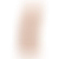 Gode Modèle 2 23 cm Flesh