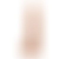 Gode Modèle 5 26,6 cm Flesh