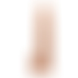 Gode Modèle 5 26,6 cm Flesh