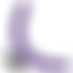 Gunter Double Vibromasseur 40 cm Violet Télécommandé