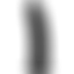 Dildo Modelo 2 Pene Realístico Negro 15 cm