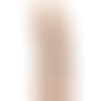 Gode Modèle 2 Pene Réaliste Naturel 15 cm