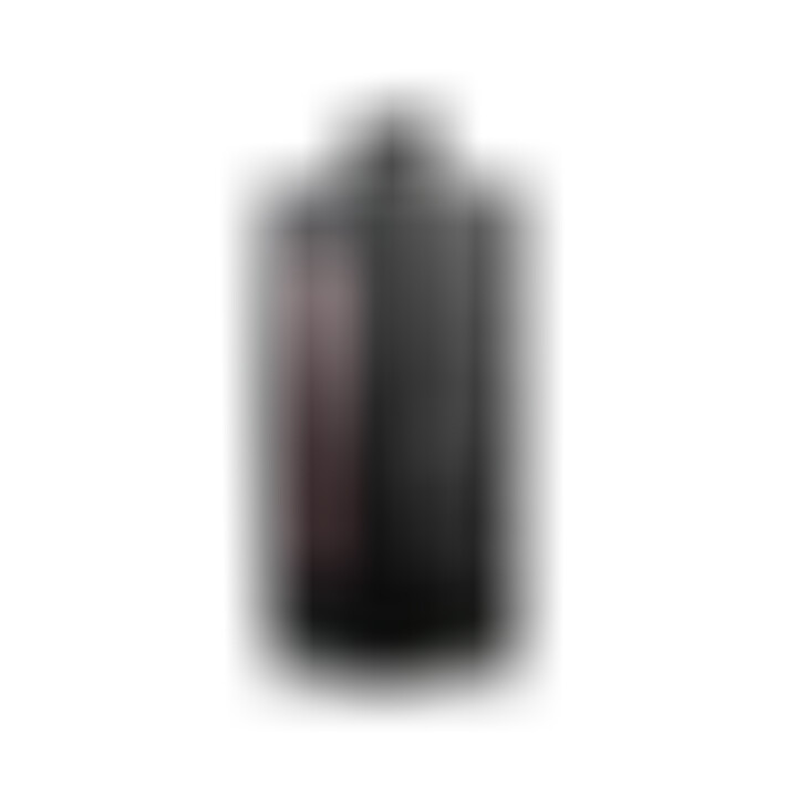 Fleshlight Rosa Lady Destroya