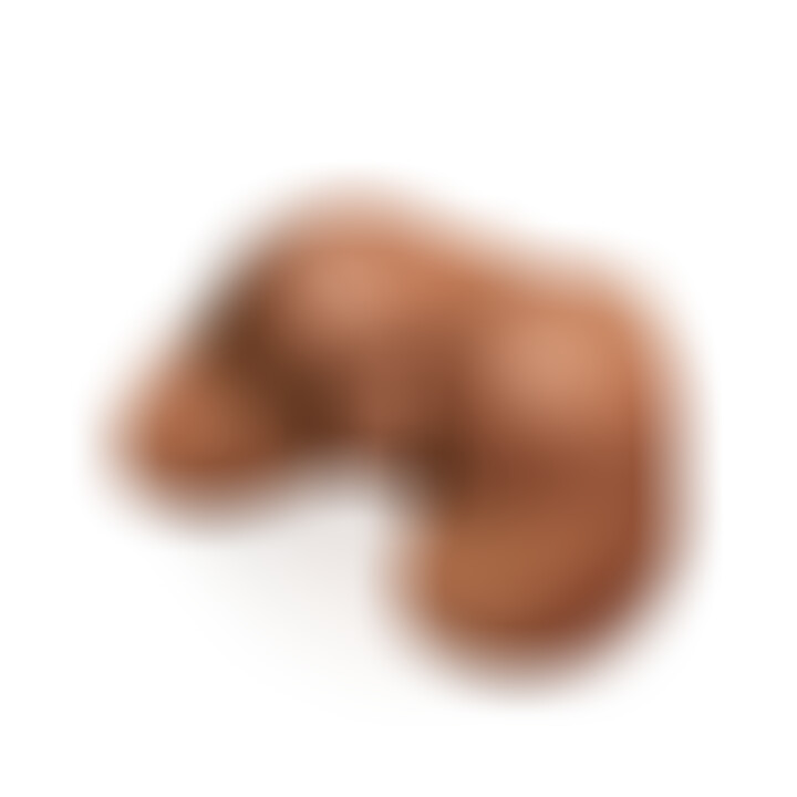 Vagin et Anus Extreme Toyz en Levrette 