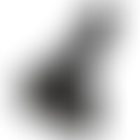Pénis avec Testicules Negro 38 cm