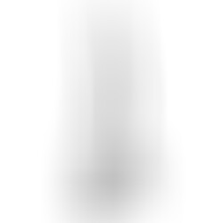 Gode avec Testicules 15,2 cm Transparent