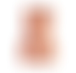 Torse Masturbateur Vibrant Vagin et Anus