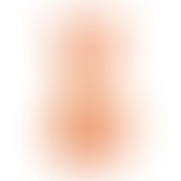 Torse Réaliste Lovely Trans