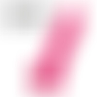 Gode Modèle 1 Rose