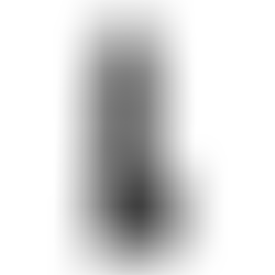 Dildo Model 4 Negro