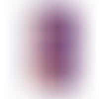 Vibromasseur Modèle 4 Flesh Violet Télécommandé