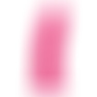 Gode Modèle 2 Rose