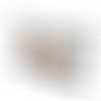 Torse Apollon L Flesh Gode 17,7 cm