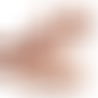 Torse Apollon L Flesh Gode 17,7 cm