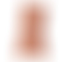 Serena S17 Flamme Masturbateur Vaginal et Anal