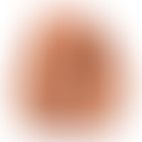Serena S18 Papillon Masturbateur Vaginal et Anal