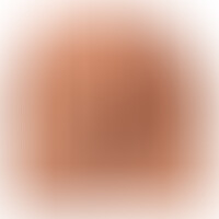 Serena S18 Papillon Masturbateur Vaginal et Anal