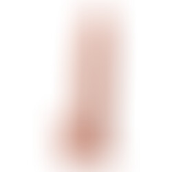 Casanova 17 cm