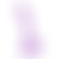 Hudini Gode Anal Jelly Violet