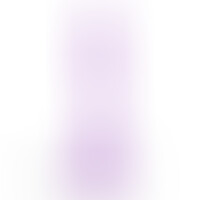 Hudini Gode Anal Jelly Violet