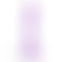 Hudini Gode Anal Jelly Violet