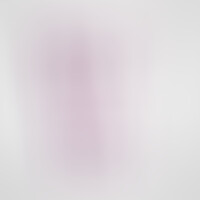 Hudini Gode Anal Jelly Violet