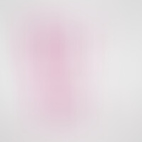 Hudini Gode Anal Jelly Rose