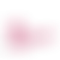 Hudini Gode Anal Jelly Rose