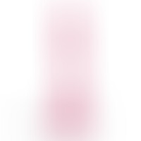 Hudini Gode Anal Jelly Rose