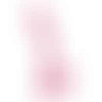 Hudini Gode Anal Jelly Rose