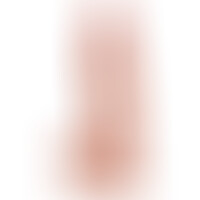 Gode Pénis Testicules Flesh 22,86 cm