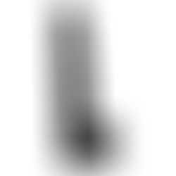 Dildo Fino con Testículos Thinz Negro 20,3 cm