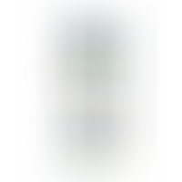 Clear Gode Réaliste Transparent 22 cm x 4,6 cm