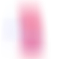 Pénis Réaliste Modèle 2 Rose + Télécommande LRS 17 cm