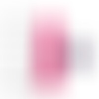 Pénis Réaliste Modèle 2 Rose + Télécommande LRS 17 cm