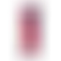 Pénis Réaliste Modèle 2 Rose + Télécommande LRS 17 cm