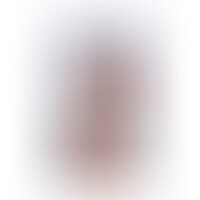 Extreme XXXL Gode 34 cm Naturel